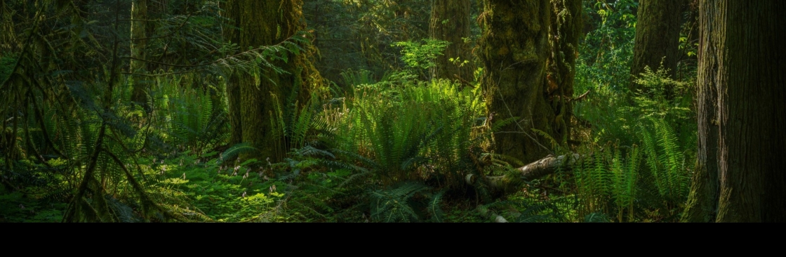 Principal Chief Conservator of Forests Cover Image