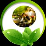 Ayurveda Medical Education Profile Picture