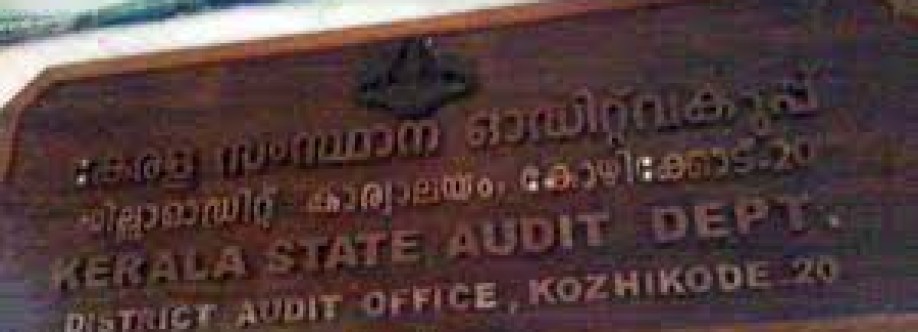 Deputy Director of State Audit Cover Image