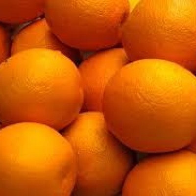 orange Profile Picture