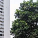 Vice Chairman of NORKA Profile Picture