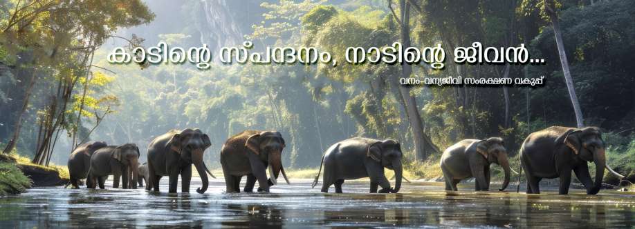 Dept of Forest and Wild Life Cover Image