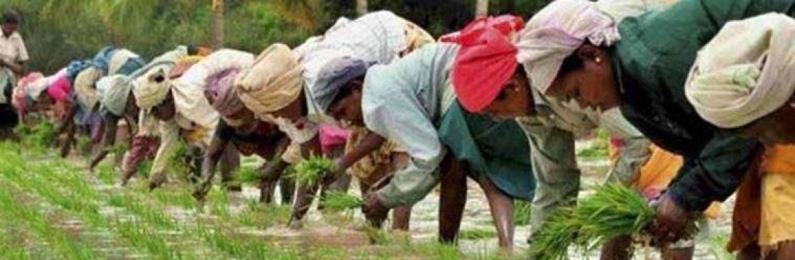 Director of Labour Commissionerate Cover Image