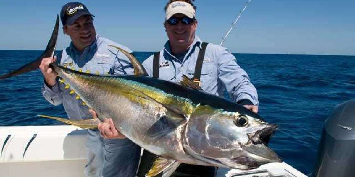 Deep Sea Fishing Adventure in Qatar: Explore the Riches of the Arabian Gulf