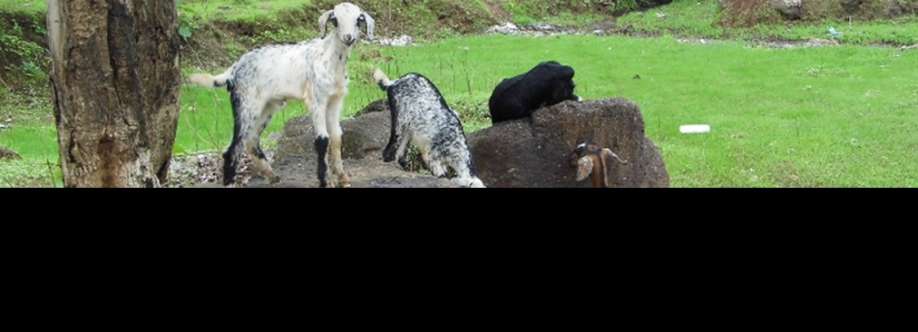Dept of Animal Husbandry Cover Image