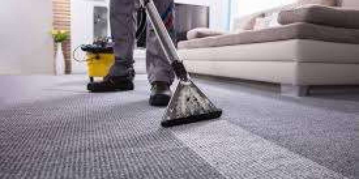 ﻿﻿What’s Included in Professional Carpet Cleaning Services?
