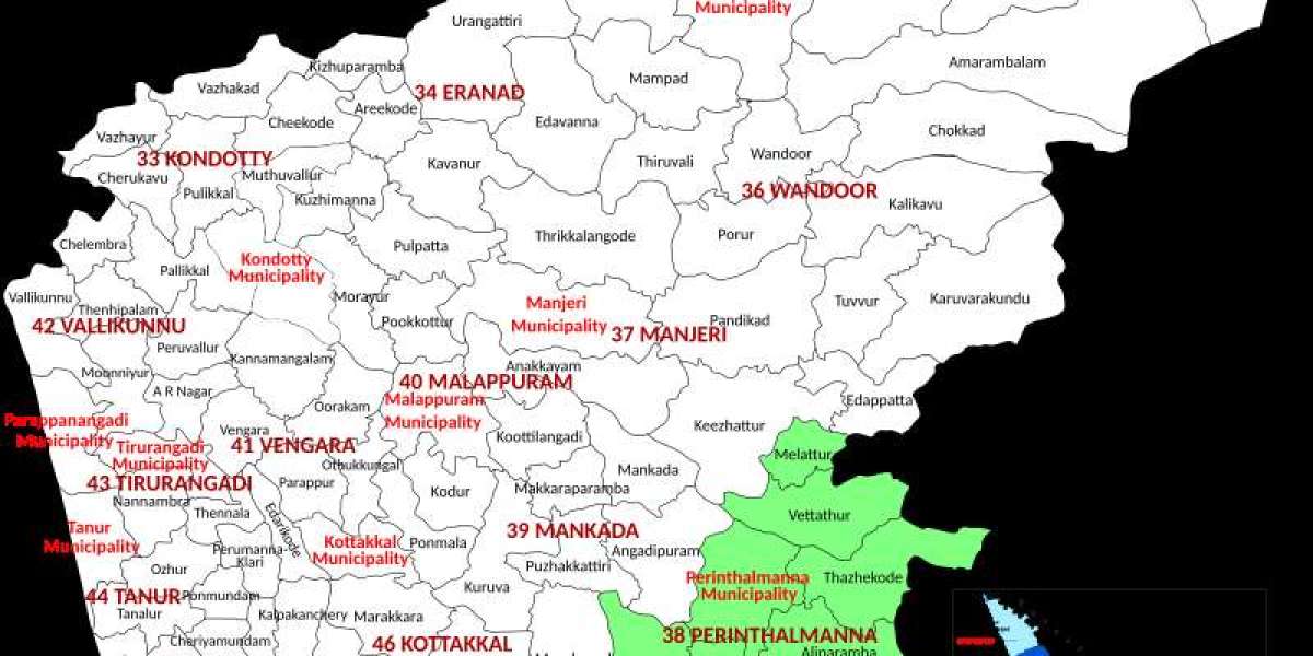Perinthalmanna Assembly Constituency: Town-State Symbiosis in Malappuram