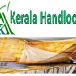 Director Of Handlooms and Textiles Profile Picture