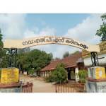 Govt LPS Kadinamkulam Profile Picture