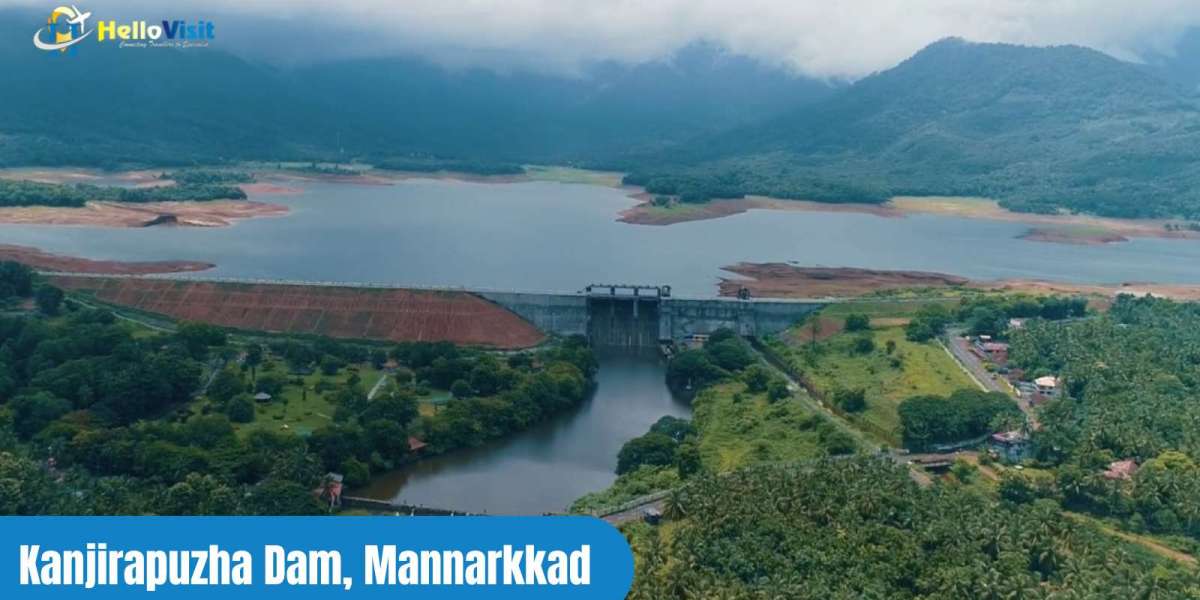 Mannarkad Assembly Constituency: Rural-Mixed Lands, Migrant Income  Agrarian Strength