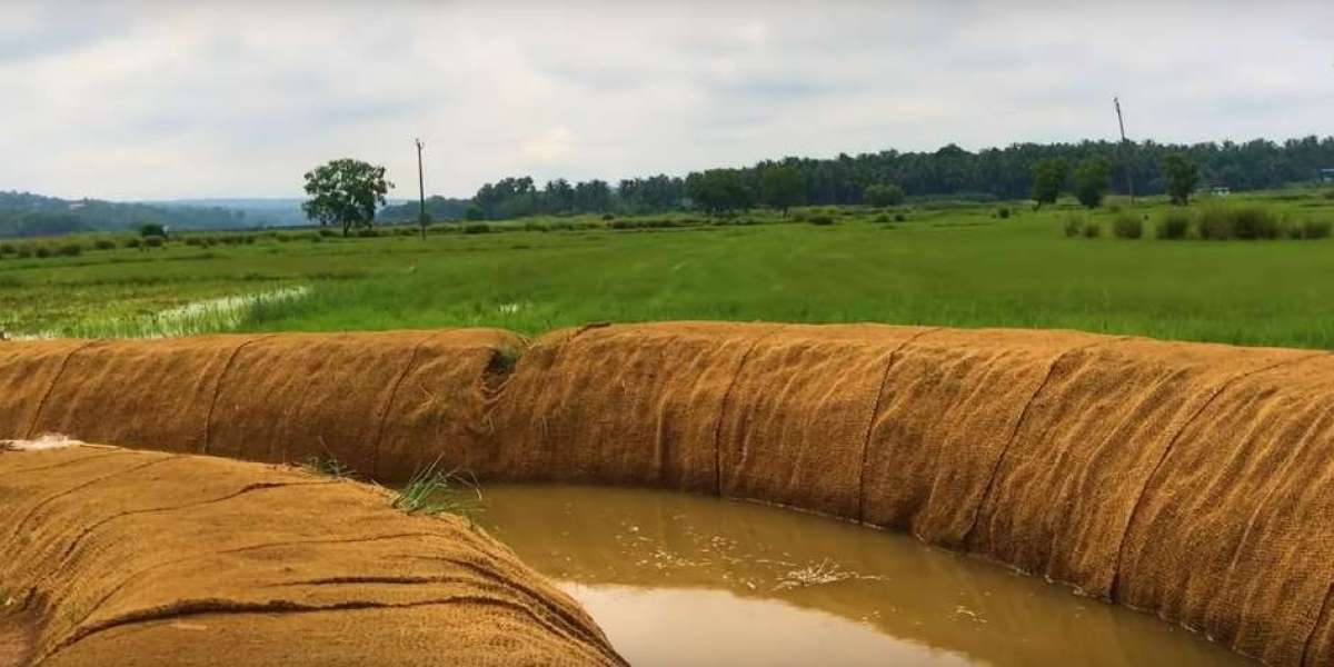 Vengara Assembly Constituency (No. 41) lies in Malappuram district, Kerala, and is part of the Malappuram Lok Sabha cons