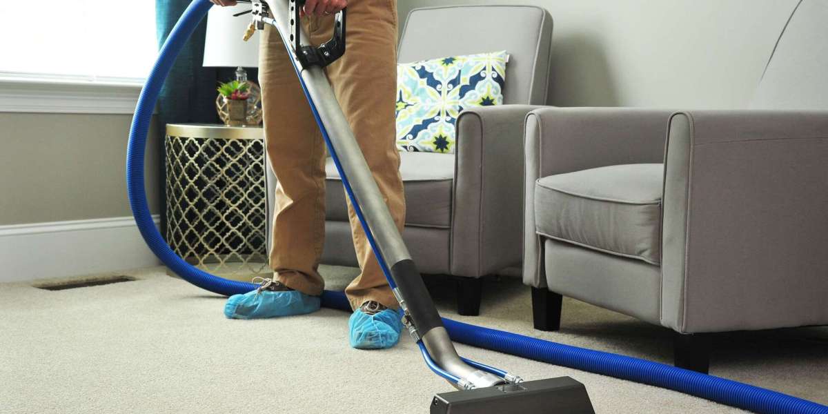 The Ultimate Guide to Choosing the Best Carpet Cleaner for Your Home