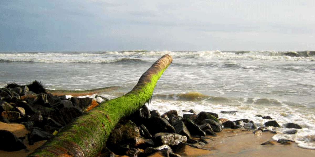 Manalur: Where Coast Meets Cultivation and Community Thrives
