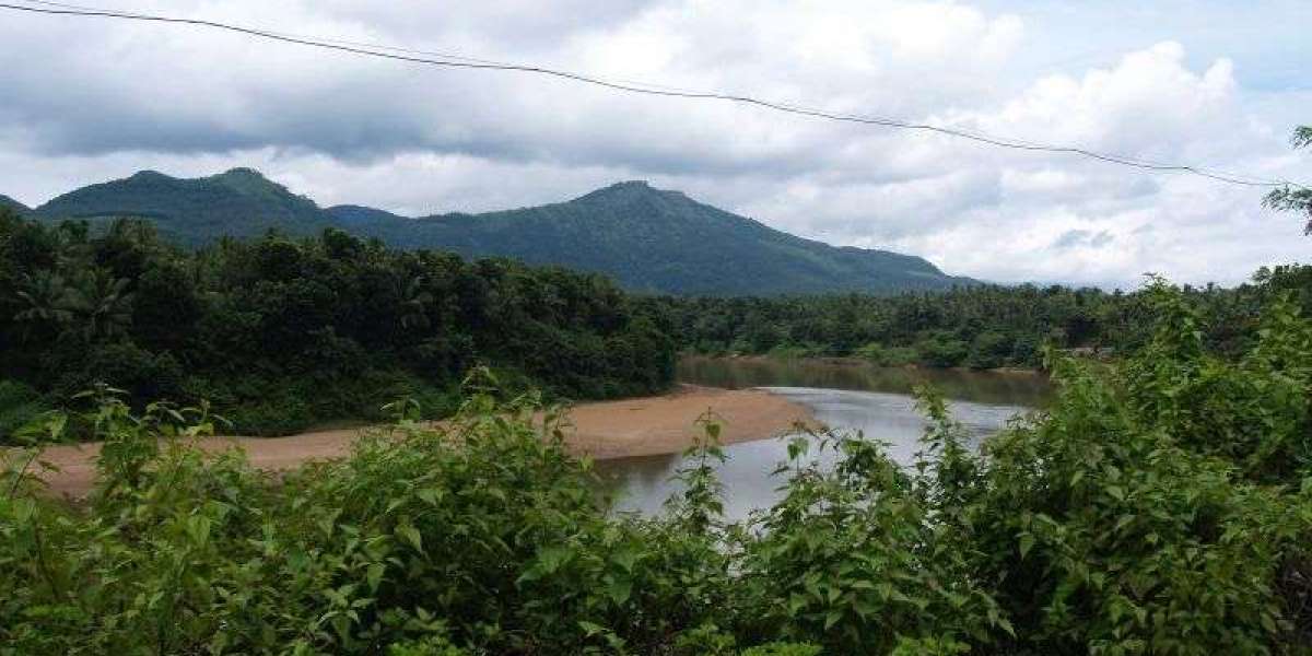 Eranad Assembly Constituency: Riverine Heartland & NRI-Driven Growth