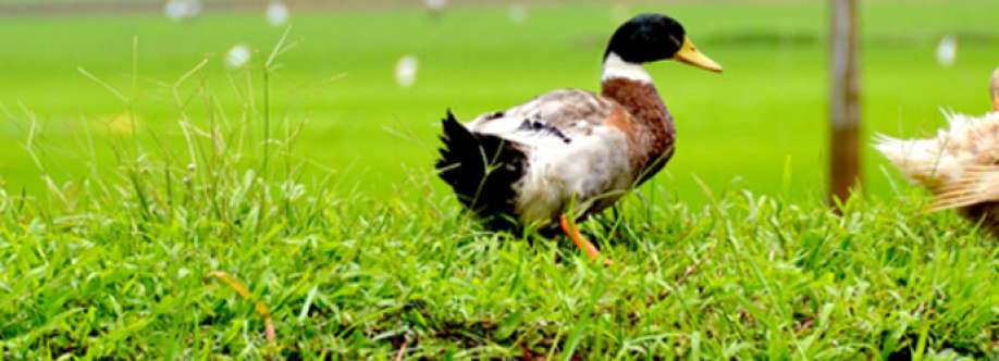 Ministry Animal Husbandry and Dairy Development Cover Image