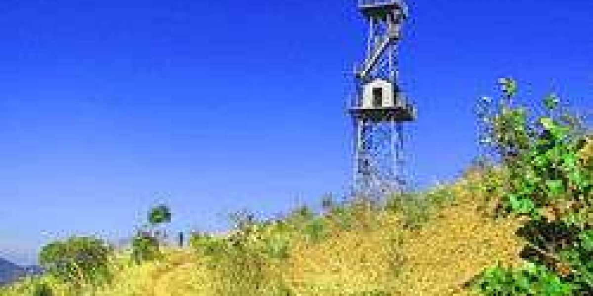 Mananthavady Assembly Constituency: Highland Diversity & Community Resilience