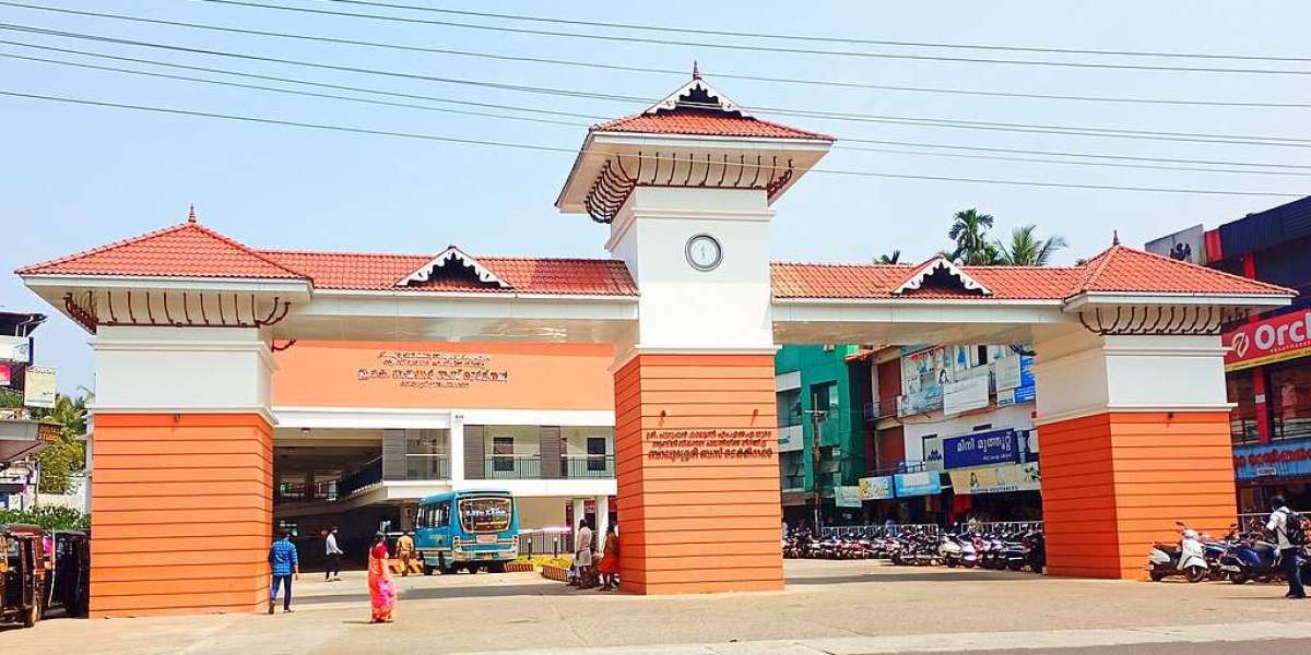 Balussery Assembly Constituency: Fertile Plains and Entrepreneurial Spirit in Kozhikode