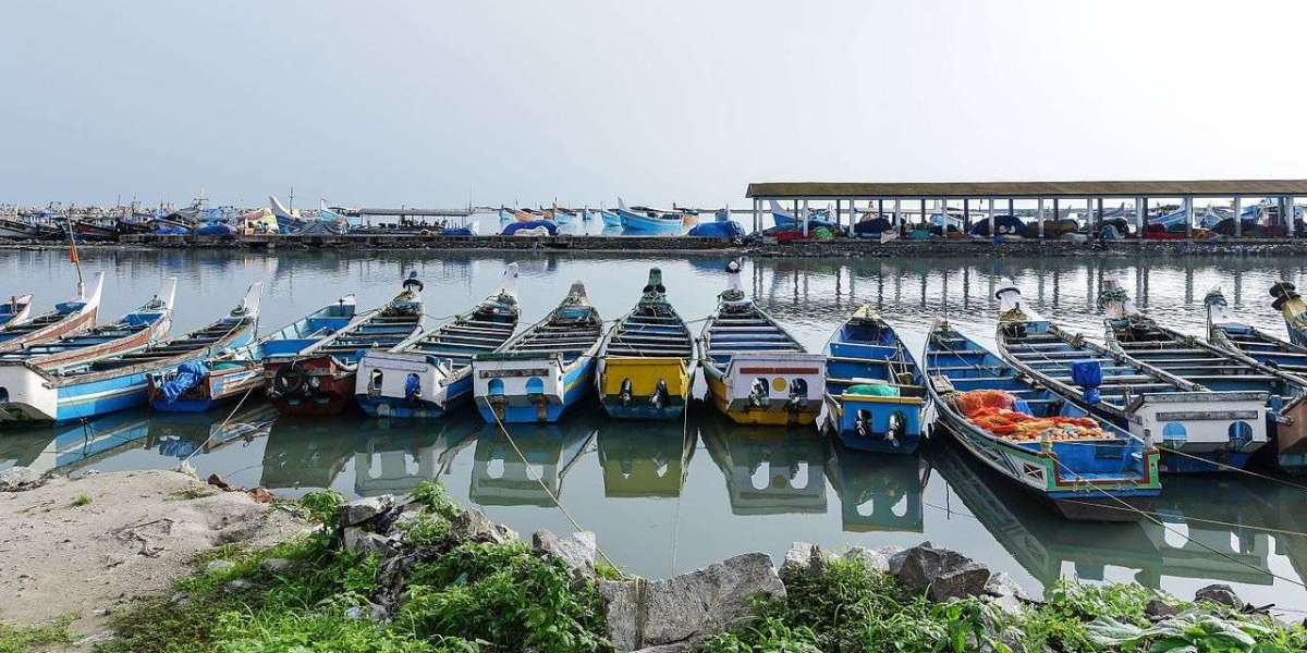 Quilandy Assembly Constituency: Coastal Heritage Meets Modern Commerce