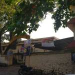 Govt GHSS Karamana Profile Picture