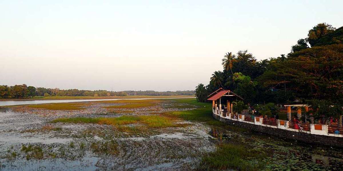 Thavanur Assembly Constituency: Riverine Plains, Plantation Roots & Migrant Remittances