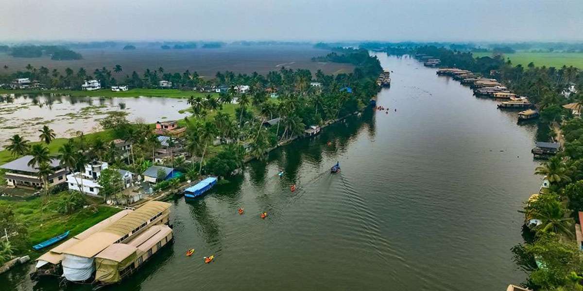 Haripad Assembly Constituency: An In-Depth Profile