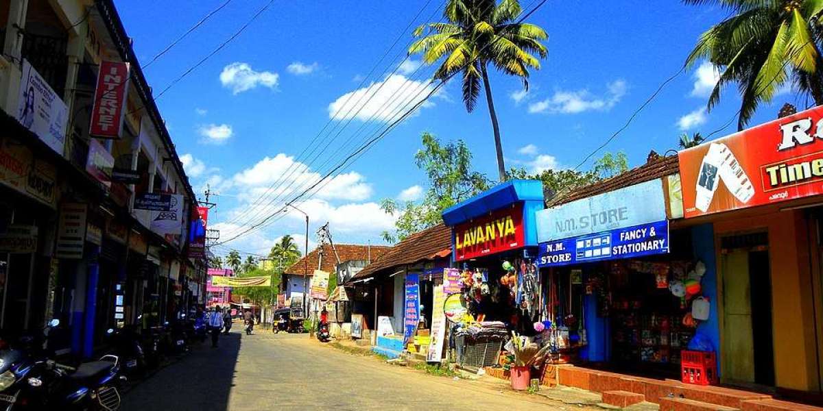 Chathannur Assembly Constituency: A Cultural Heartland Bridging Traditional Crafts & Gulf Remittances