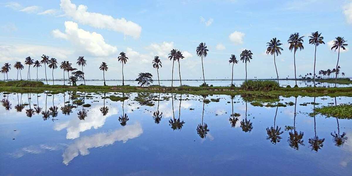 Ettumanoor Assembly Constituency: Cultural Hub & Economic Crossroads in Kottayam