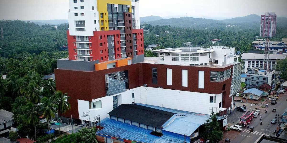 Manjeri Assembly Constituency: Urban Hub and Remittance-Fueled Growth