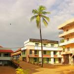DVM NNM HSS Maranalloor Profile Picture