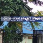 MPM LPS Killi Profile Picture