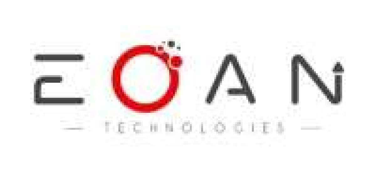 Best SEO Company in Pune for Business Growth | Eoan