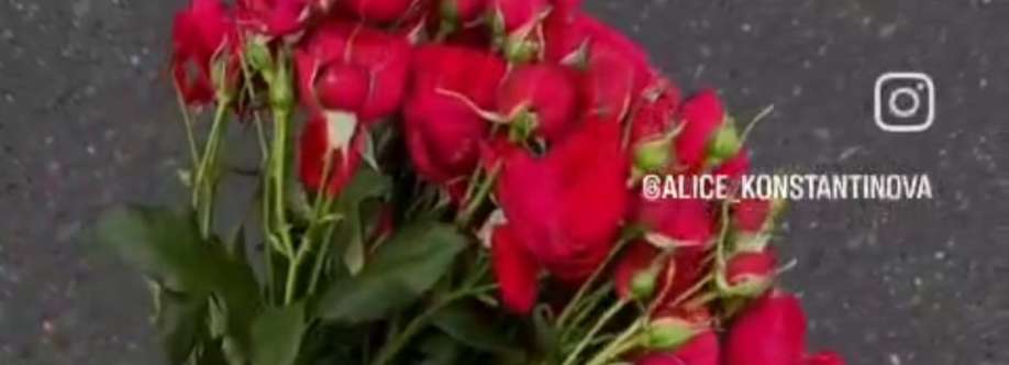 e duck kv Cover Image