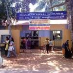 Govt UPS Nellikkakuzhy Profile Picture