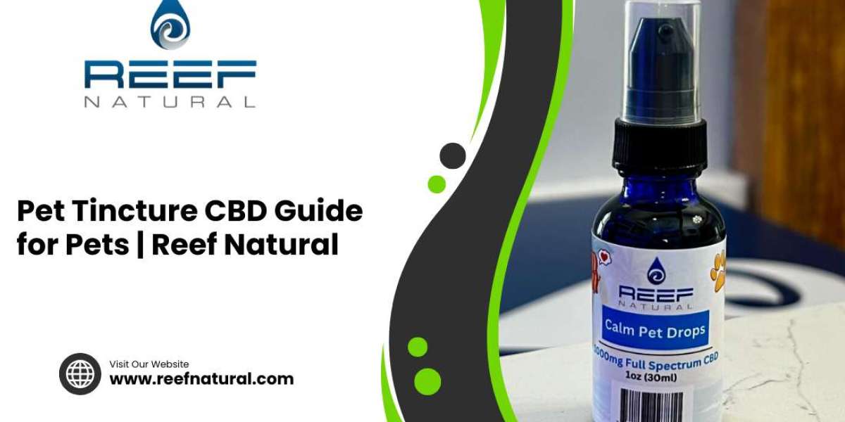 Pet Tincture CBD Guide for Pets | Reef Natural