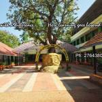 Govt SNDPUPS Pattathanam Profile Picture