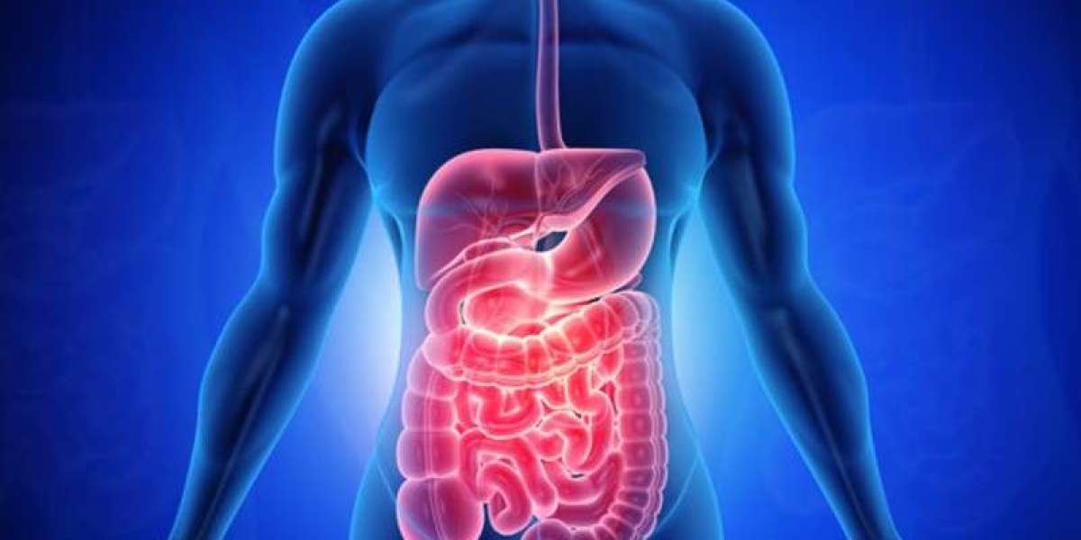 Gastrointestinal Illness Recovery | When to Seek Medical Help